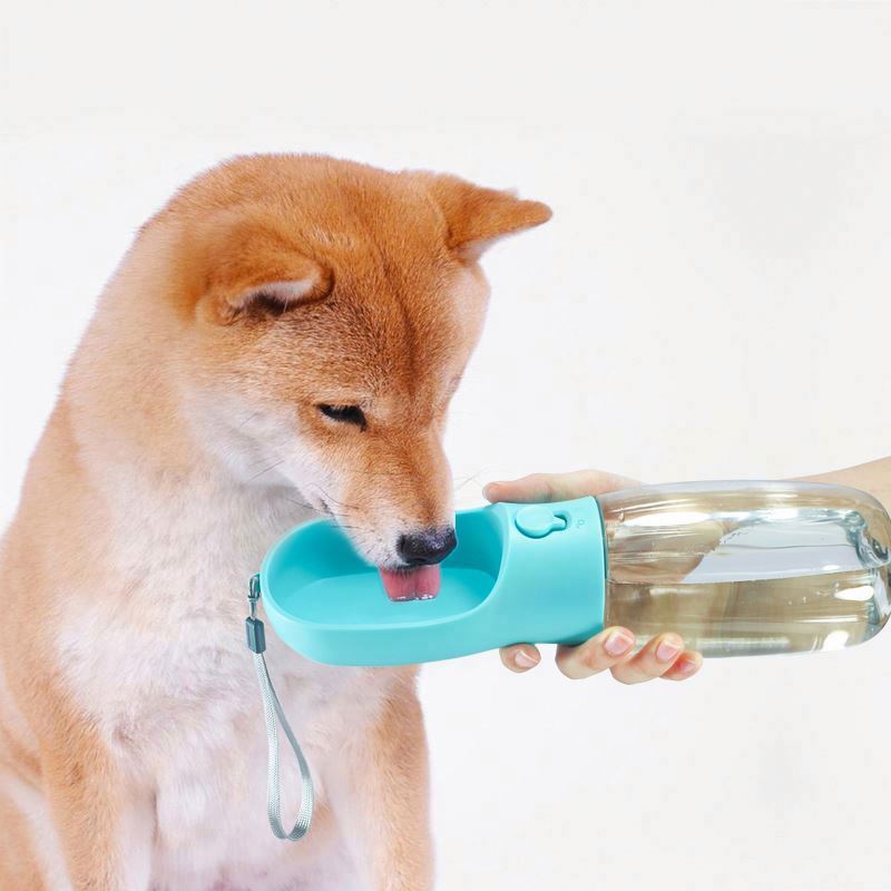 Bottiglia d'acqua portatile per animali domestici (1)